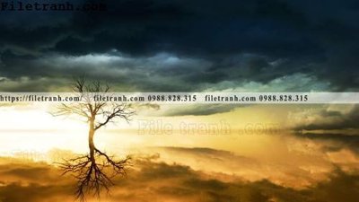 File tranh phong canh dai duong 122 (ảnh gốc) sắc nét hoàn hảo