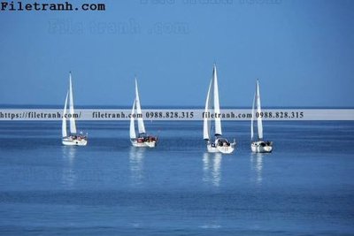 File gốc phong canh dai duong 181 (ảnh chi tiết) để in lụa