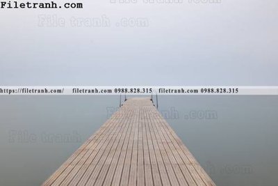 File in ấn phong canh dai duong 195 chuyên nghiệp