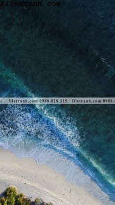 File tranh gốc in trần nhà phong canh dai duong 233 3D