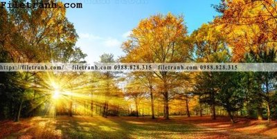 Chi tiết file ảnh phong canh dep 151 sắc nét