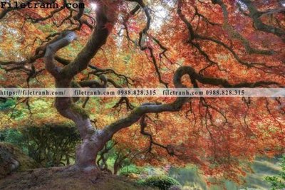 Download file ảnh gốc phong canh dep 183 để in ấn