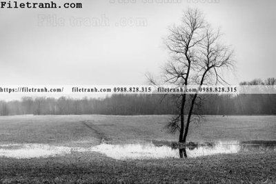 File gốc phong canh dep 185 (vector) cho in ấn