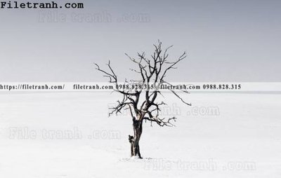 Tải file phong canh dep 198 (gốc) làm tranh trang trí