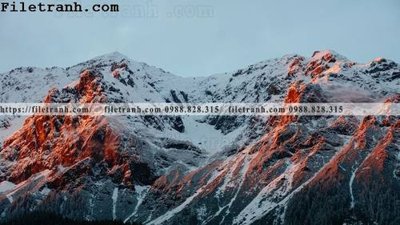 Tải file phong canh dep 213 (gốc) chủ đề hoa sen