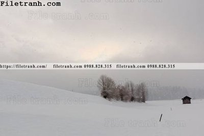 File ảnh phong canh dep 229 (gốc) in standee