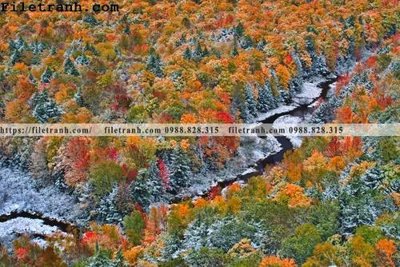 File tranh phong canh dep 238 (bản gốc) in lụa 5D