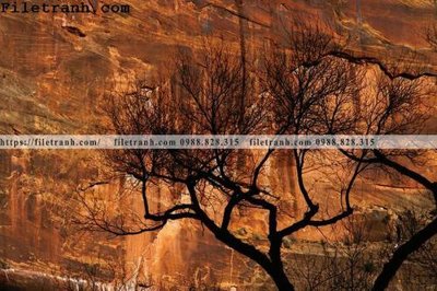 File in trần phong canh dep 249 (file gốc) hoa văn 3D