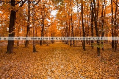 File PSD phong canh dep 317 (bản gốc) cho nhà in