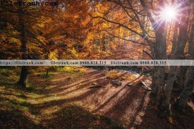 File gốc phong canh dep 325 (vector) cho in ấn