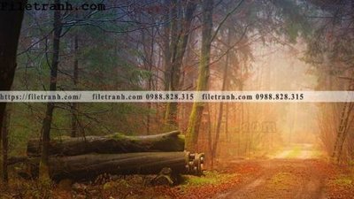 Download file gốc phong canh dep 342 (in mica) trong suốt