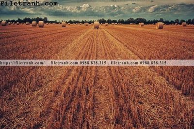 File tranh gốc phong canh dep 353 (bản quyền) độc đáo