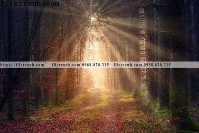 Download file gốc phong canh dep 355 (in mica) 3D