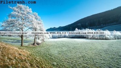 Tải file tranh gốc phong canh dep 357 chất lượng cao