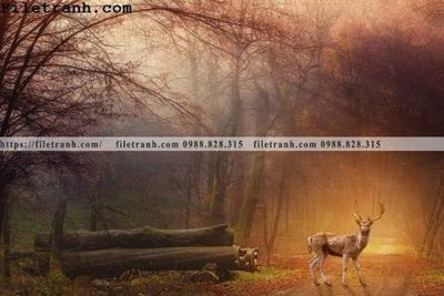 File gốc phong canh dep 371 (PNG) không nền chất lượng