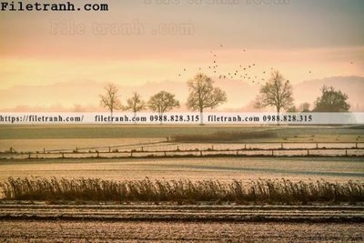 File tranh phong canh dep 397 (gốc) phong cách tối giản