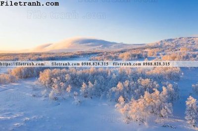 File gốc phong canh nui ngang 118 (vector) cho in ấn