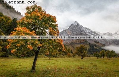 Tải file gốc phong canh nui ngang 153 (in không vỡ ảnh)