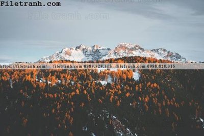 File tranh phong canh nui ngang 211 (bản gốc) treo phòng ăn