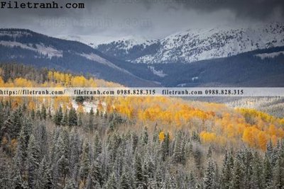 File gốc phong canh nui ngang 245 cho in ấn và thiết kế