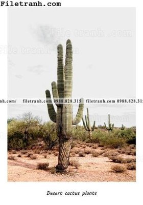 File ảnh phong canh phong cach Bac Au tuoi moi 131 (gốc) cho trang trí nội thất