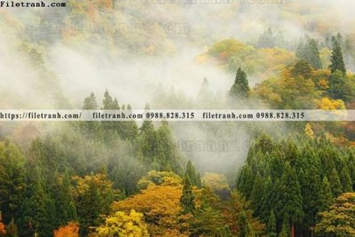 File tranh gốc PSD phong canh rung cay mua thu 500 còn nguyên layer