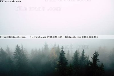 Hình ảnh file gốc phong canh rung cay mua thu 516 cho in UV