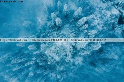 File gốc phong canh rung cay mua thu 518 (phong cách) cổ điển