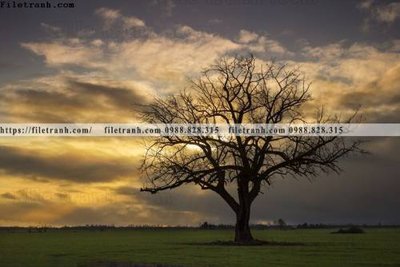 File tranh gốc phong canh rung cay mua thu 544 (bản quyền) file PSD