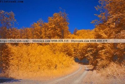 File tranh trang trí phong canh rung cay mua thu 555 (file gốc)