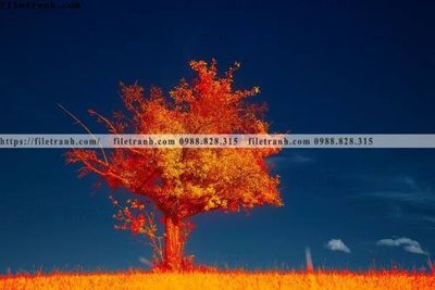 File gốc phong canh rung cay mua thu 587 (ảnh chi tiết) để in lụa