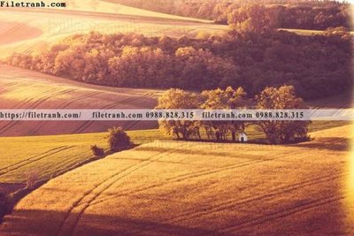 File gốc phong canh rung cay mua thu 592 (in 3D) nghệ thuật