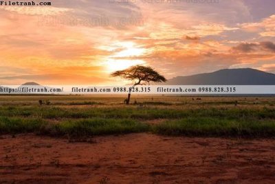 Download file gốc phong canh rung cay mua thu 605 (in mica) trong suốt