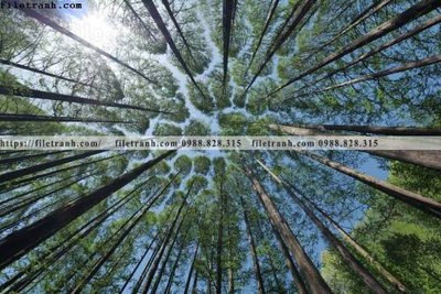 File tranh gốc PSD phong canh rung cay mua thu 631 còn nguyên layer