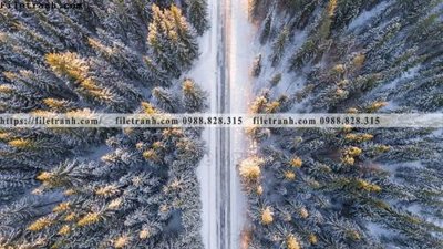 File in lụa phong canh rung nui bien 502 (tân cổ điển) phong canh rung nui bien 502