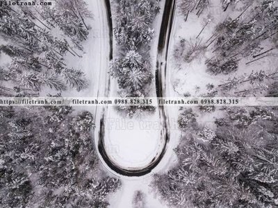 File gốc phong canh rung nui bien 520 (in lụa) hoa văn cổ điển