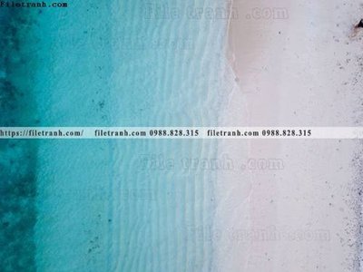 File tranh phong canh rung nui bien 525 (bản gốc) treo quán cafe