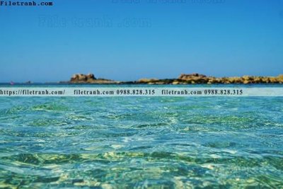 File tranh phong canh rung nui bien 538 (bản gốc) treo phòng ăn