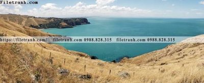 Download file phong canh rung nui bien 561 (chuẩn in) phong canh rung nui bien 561