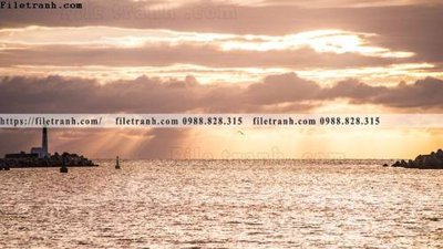 File PSD phong canh rung nui bien 594 (nguyên bản) cho thiết kế