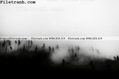 Ảnh gốc phong canh rung suong mu 101 (nét căng) in mica