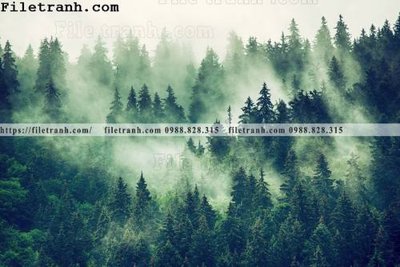 File tranh phong canh rung suong mu 107 (gốc) chủ đề con người