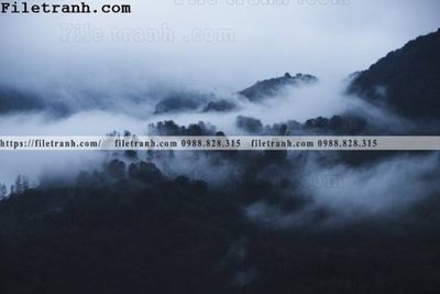 File gốc phong canh rung suong mu 120 (ảnh chi tiết) để in ấn