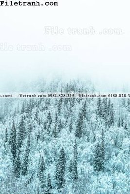 File PSD phong canh rung suong mu 121 (nguyên gốc) chất lượng cao