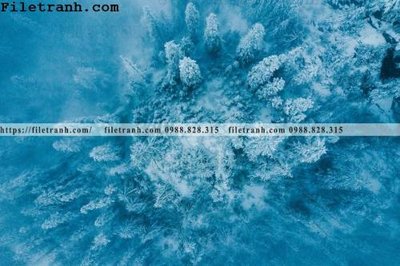 File ảnh phong canh rung suong mu 126 (gốc) trang trí khách sạn