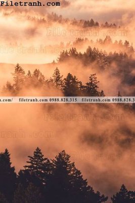 File gốc phong canh rung suong mu 127 (cho in ấn) từ Filetranh.com