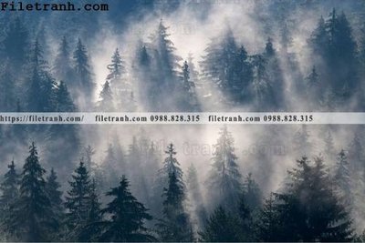 File in trần phong canh rung suong mu 131 (file gốc) xuyên sáng