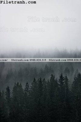 File PSD phong canh rung suong mu 144 (gốc) tách lớp chi tiết