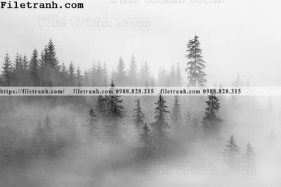 Tải xuống file tranh gốc phong canh rung suong mu 148 (PSD/TIFF)