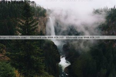 Tải file phong canh rung suong mu 152 (gốc) in trên mọi chất liệu